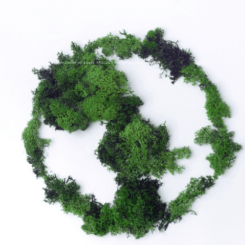 Celebrating Arbor Month